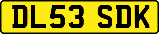 DL53SDK