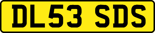 DL53SDS