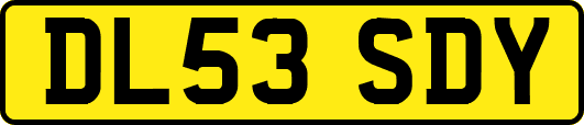 DL53SDY