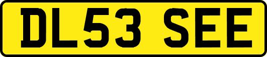 DL53SEE