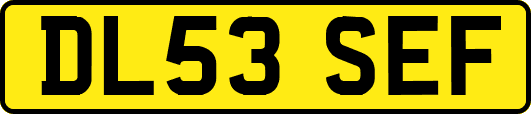 DL53SEF
