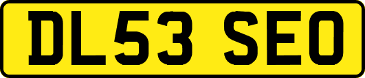 DL53SEO