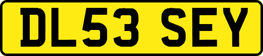 DL53SEY