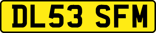 DL53SFM