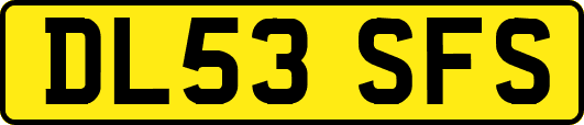 DL53SFS