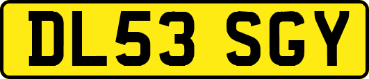 DL53SGY