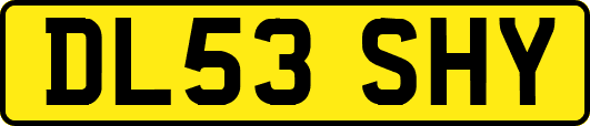 DL53SHY