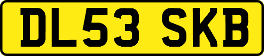 DL53SKB