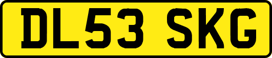 DL53SKG