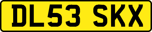 DL53SKX