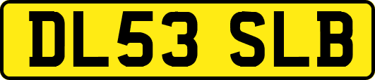 DL53SLB