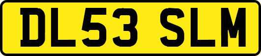 DL53SLM