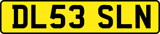 DL53SLN