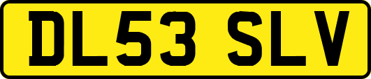 DL53SLV