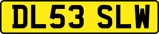 DL53SLW