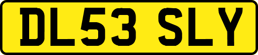 DL53SLY