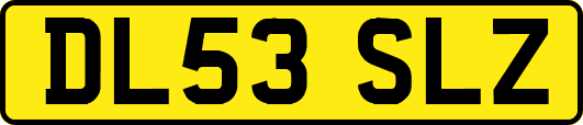DL53SLZ