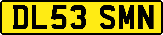 DL53SMN