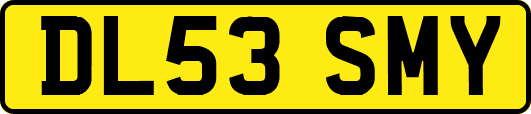 DL53SMY