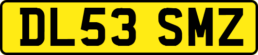 DL53SMZ