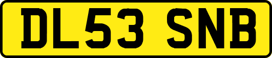 DL53SNB