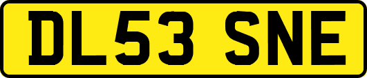 DL53SNE