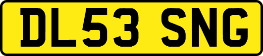 DL53SNG