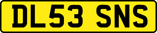 DL53SNS