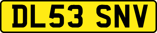DL53SNV