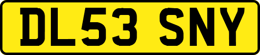 DL53SNY