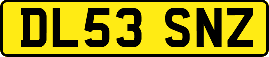 DL53SNZ