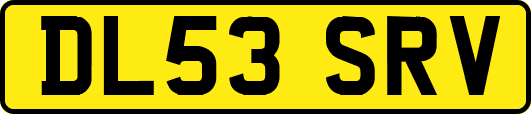 DL53SRV