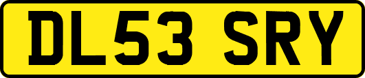 DL53SRY