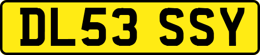 DL53SSY