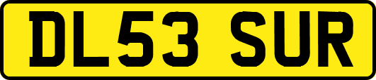 DL53SUR