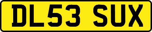 DL53SUX