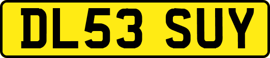 DL53SUY