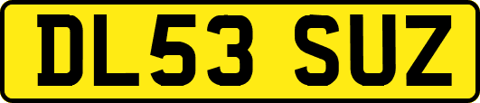 DL53SUZ