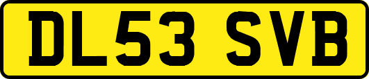 DL53SVB