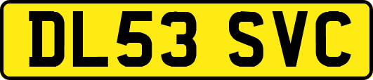 DL53SVC