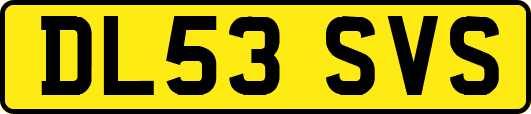 DL53SVS