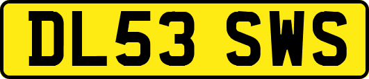 DL53SWS
