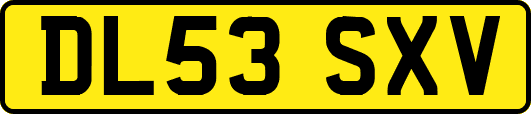 DL53SXV