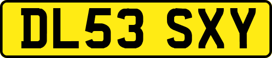 DL53SXY
