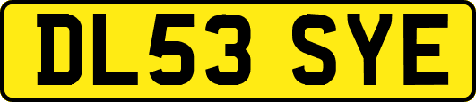 DL53SYE