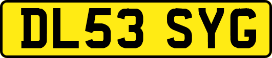 DL53SYG