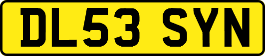 DL53SYN