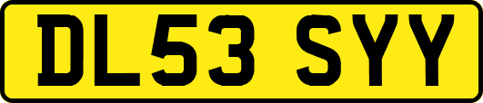 DL53SYY