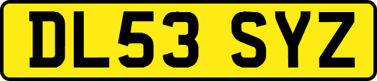 DL53SYZ