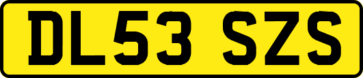 DL53SZS